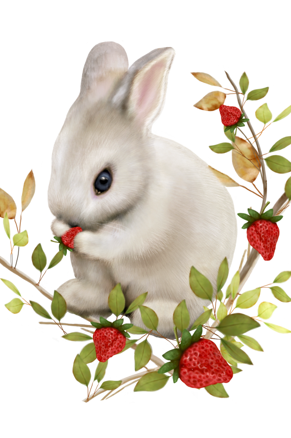 SILITYSKUVA MANSIKKAMAAPUPU 13,5x15,5cm valkoinen